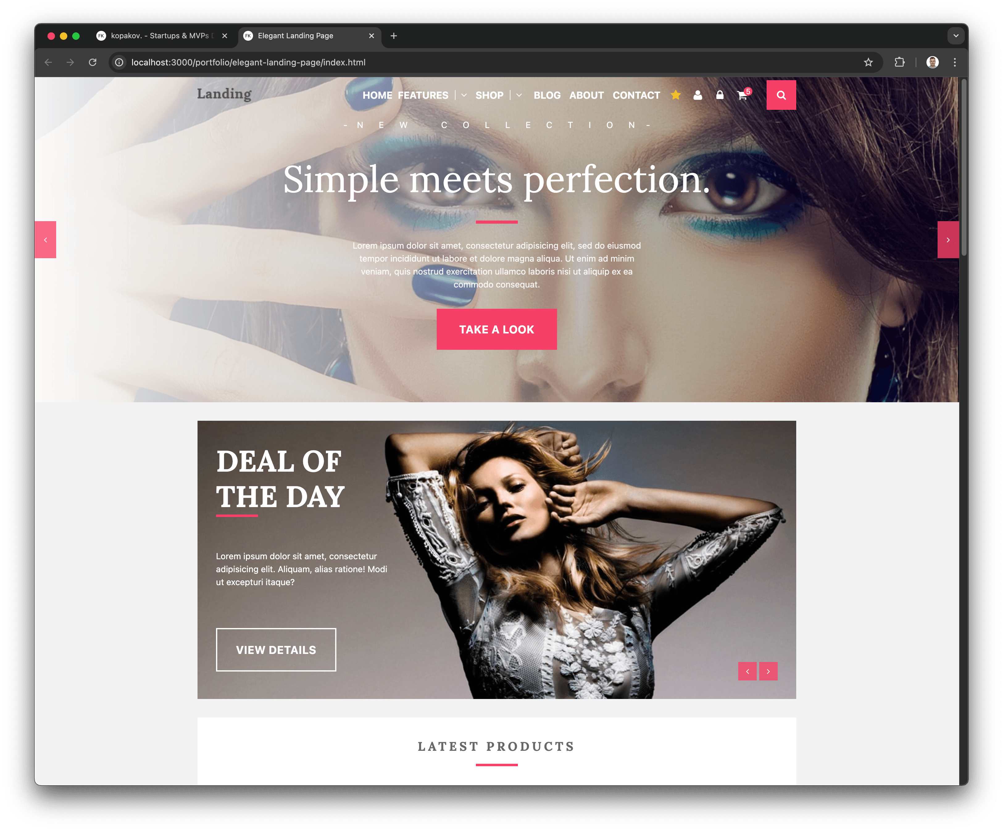 elegant-landing-page.png